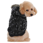 Winter Waterproof Coat For Small Dogs